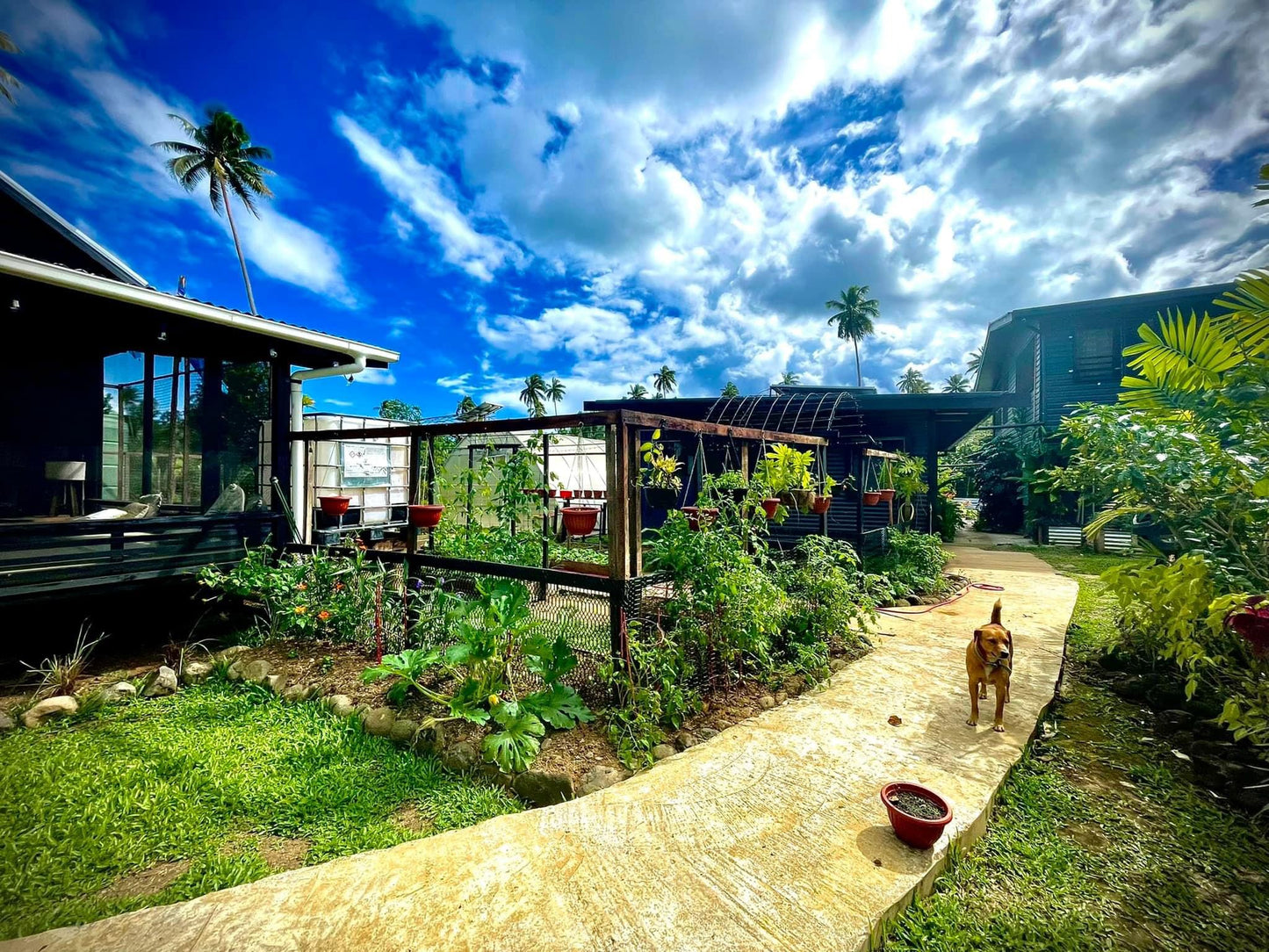 River House Cabin